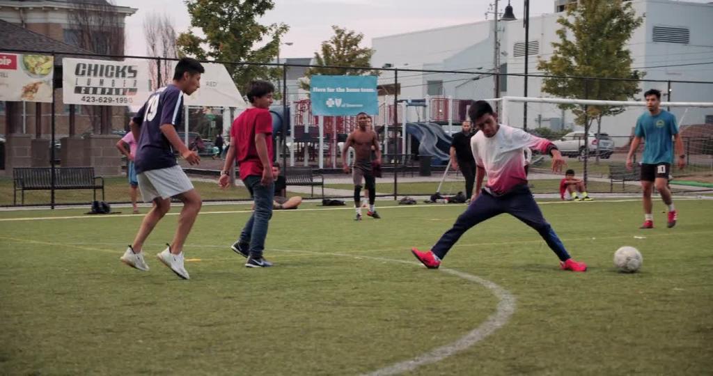 2932301-hd_1366_720_24fps.mp4